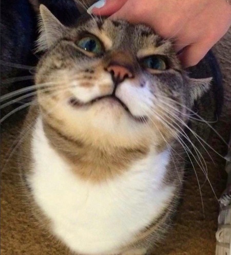 Entry image for May. Clicking this image will show a larger photo