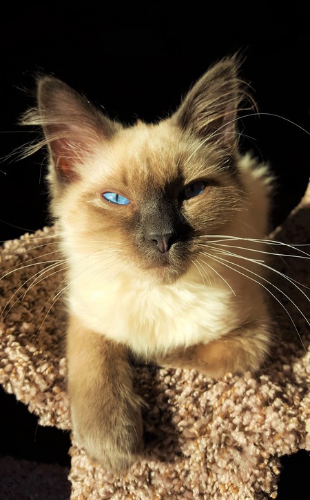 Entry image for Whiffy. Clicking this image will show a larger photo