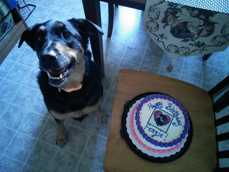 Entry image for Fergie. Clicking this image will show a larger photo