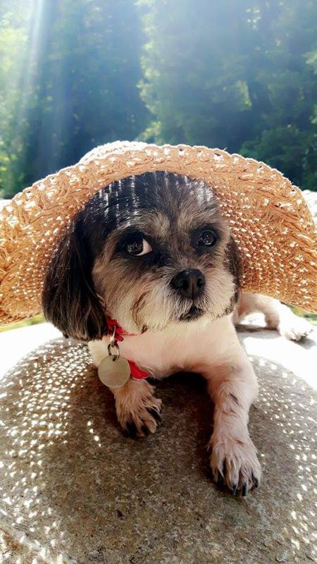 Entry image for Truffles. Clicking this image will show a larger photo