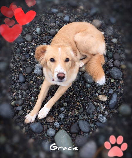 Entry image for Gracie May. Clicking this image will show a larger photo