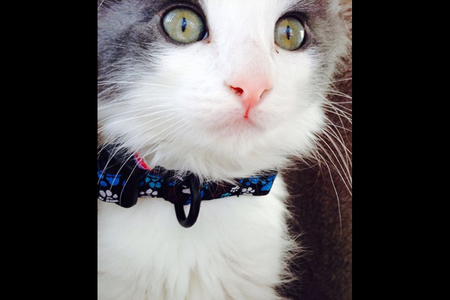 Entry image for Dave. Clicking this image will show a larger photo