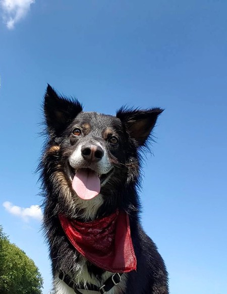 Entry image for Max. Clicking this image will show a larger photo