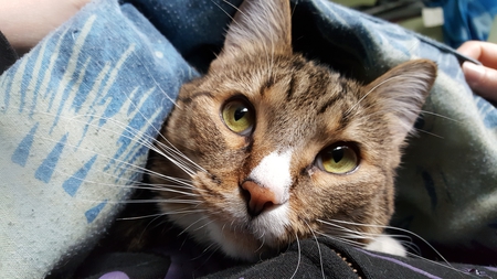 Entry image for Piper Wright. Clicking this image will show a larger photo