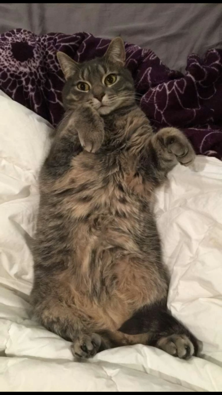 Entry image for Linux. Clicking this image will show a larger photo