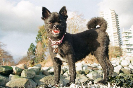 Entry image for Lennon Squiggy. Clicking this image will show a larger photo