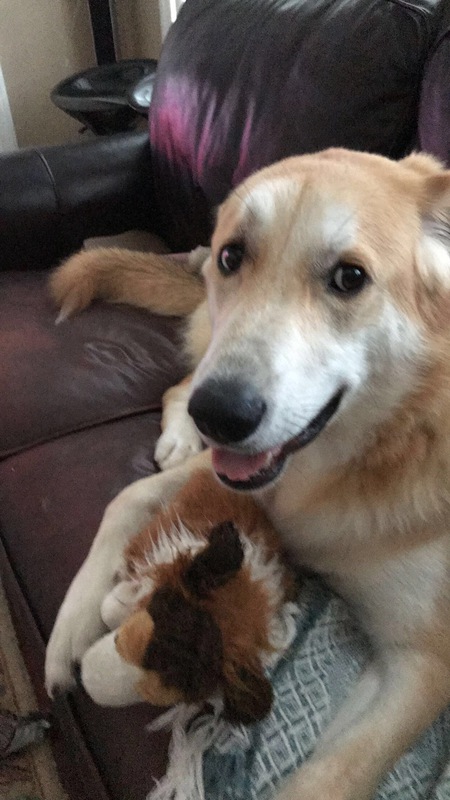 Entry image for Phoebe. Clicking this image will show a larger photo