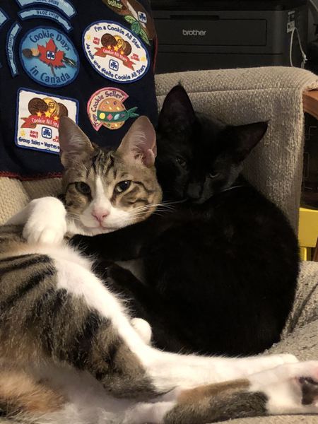 Entry image for Dot and Dash. Clicking this image will show a larger photo