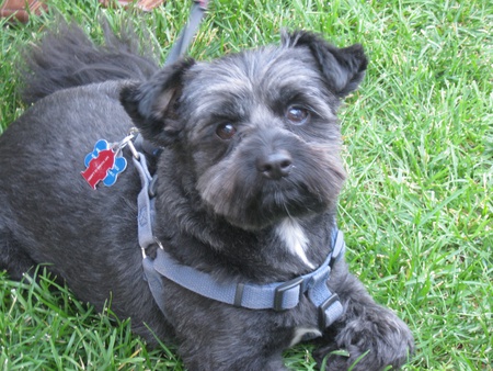 Entry image for Larry. Clicking this image will show a larger photo