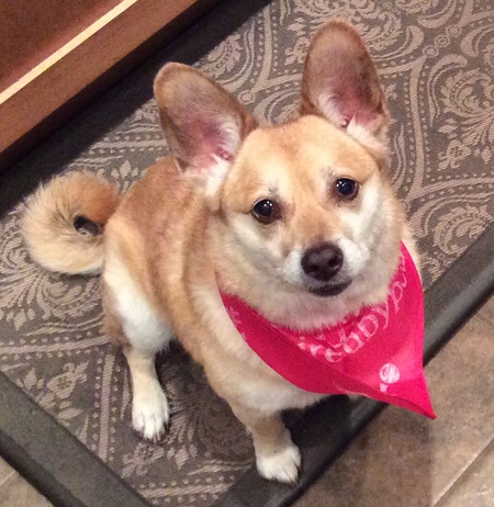 Entry image for Chassa. Clicking this image will show a larger photo