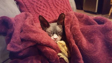 Entry image for Rumplestillskin and Squishy. Clicking this image will show a larger photo