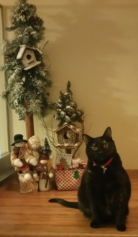 Entry image for Magic. Clicking this image will show a larger photo