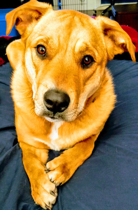 Entry image for Missy. Clicking this image will show a larger photo