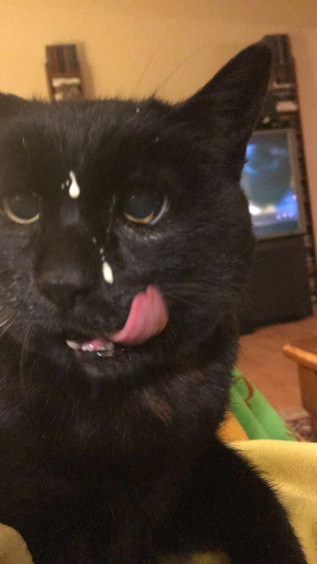 Entry image for Buster . Clicking this image will show a larger photo