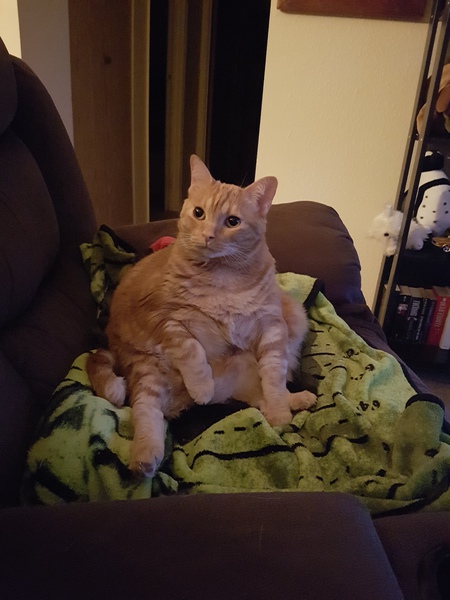 Entry image for Mika. Clicking this image will show a larger photo