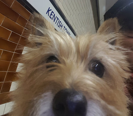 Entry image for Mooch. Clicking this image will show a larger photo