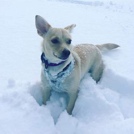 Entry image for Ellie. Clicking this image will show a larger photo