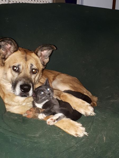 Entry image for Kiara and Smokie. Clicking this image will show a larger photo