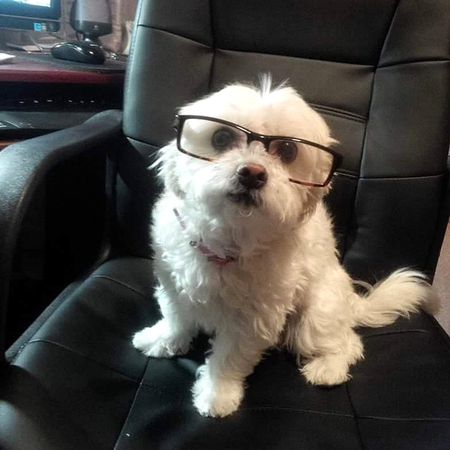 Entry image for Sophie. Clicking this image will show a larger photo