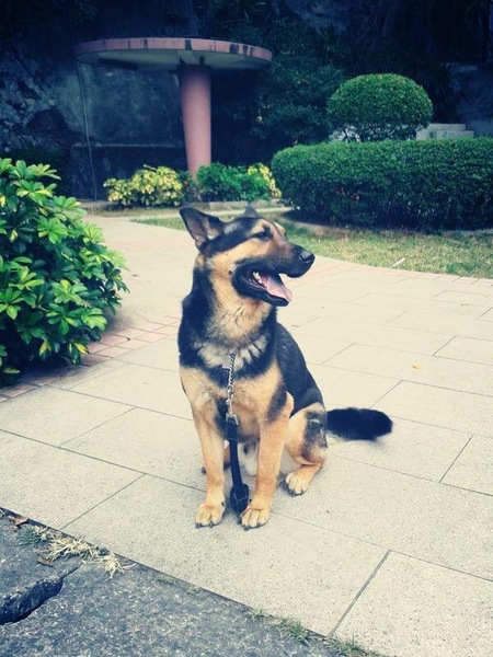 Entry image for kola. Clicking this image will show a larger photo