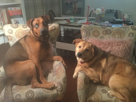 Entry image for Axel & Lexi. Clicking this image will show a larger photo