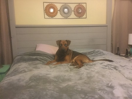 Entry image for Axel Blue. Clicking this image will show a larger photo