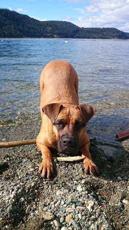 Entry image for Maggie. Clicking this image will show a larger photo