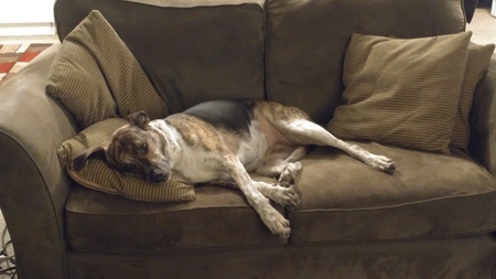 Entry image for Jaydee. Clicking this image will show a larger photo