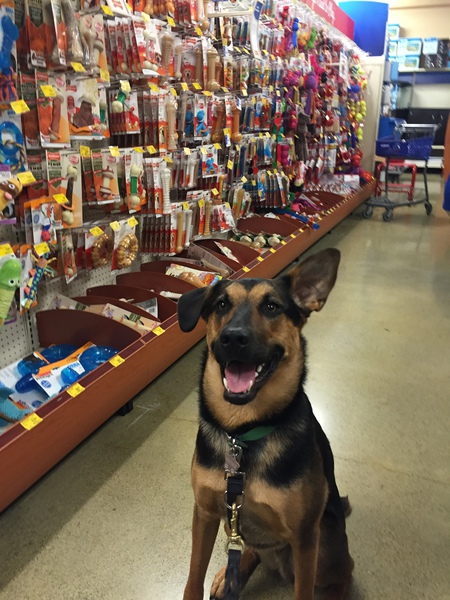 Entry image for Cruiser. Clicking this image will show a larger photo