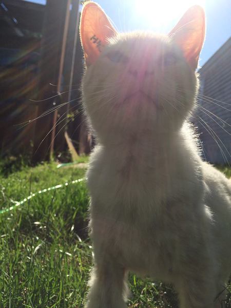 Entry image for Jones. Clicking this image will show a larger photo