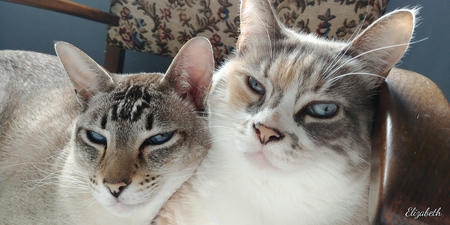 Entry image for Jack & Thea. Clicking this image will show a larger photo