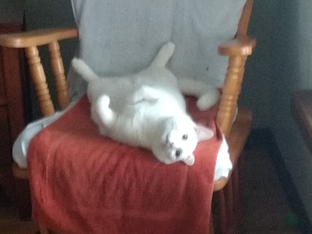 Entry image for Mr. Paul Brandt. Clicking this image will show a larger photo