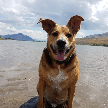 Entry image for Jake. Clicking this image will show a larger photo