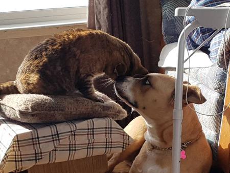 Entry image for Charlie and Molly . Clicking this image will show a larger photo