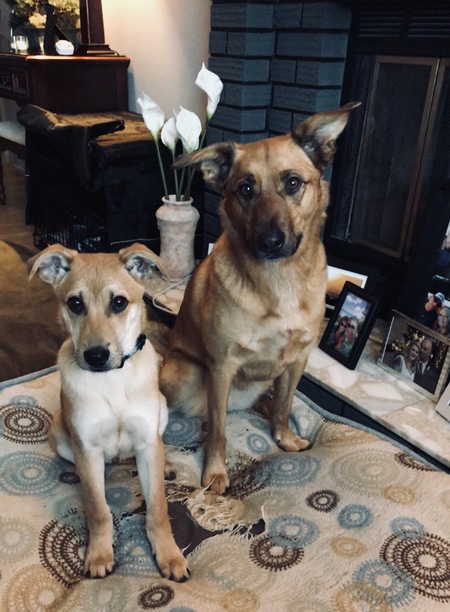 Entry image for Judge and Bailey. Clicking this image will show a larger photo