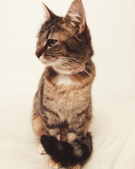 Entry image for Cherie. Clicking this image will show a larger photo