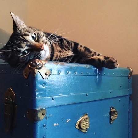 Entry image for Luther. Clicking this image will show a larger photo