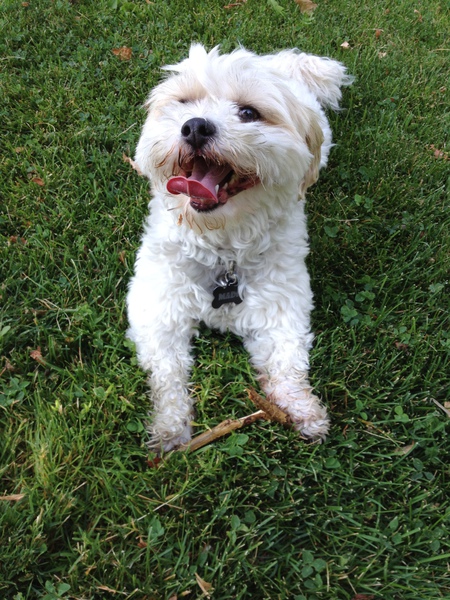 Entry image for Madi. Clicking this image will show a larger photo