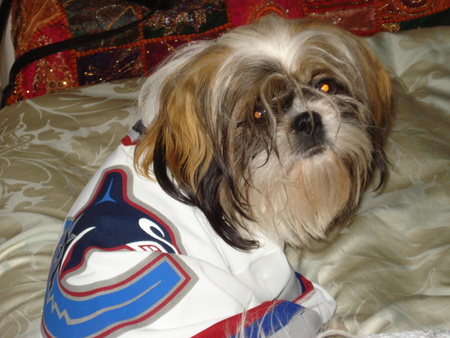 Entry image for Bubbles. Clicking this image will show a larger photo