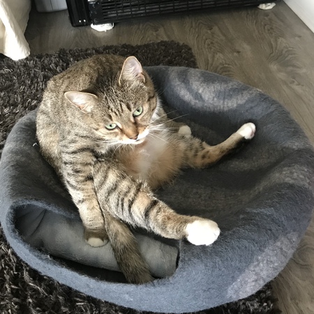 Entry image for Spice. Clicking this image will show a larger photo