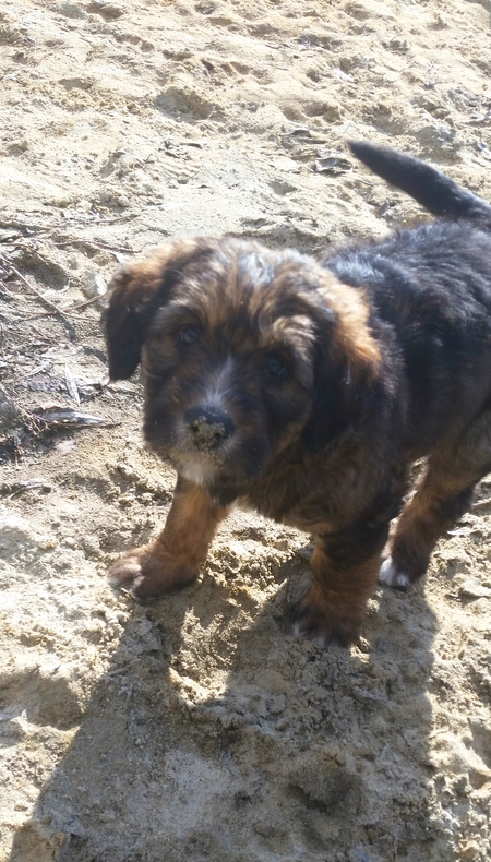 Entry image for Copper. Clicking this image will show a larger photo