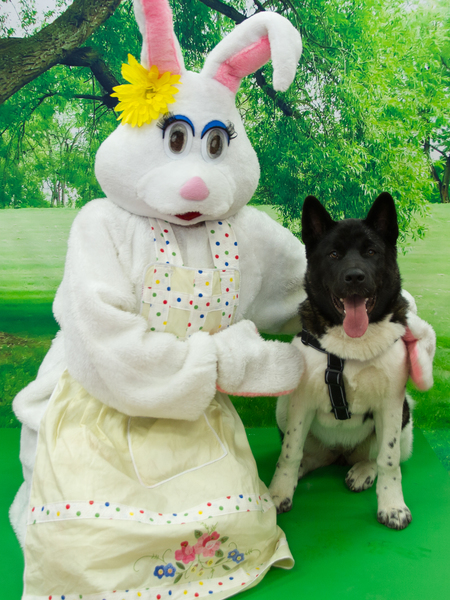 Entry image for Hela. Clicking this image will show a larger photo