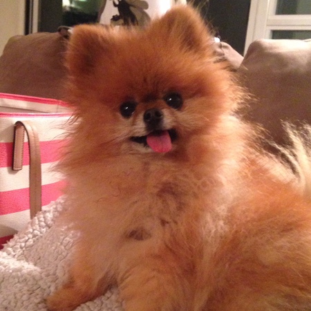 Entry image for Turkey. Clicking this image will show a larger photo