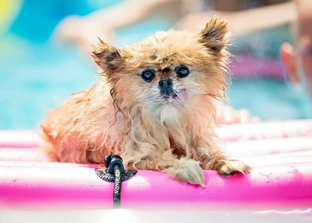 Entry image for Turkey. Clicking this image will show a larger photo