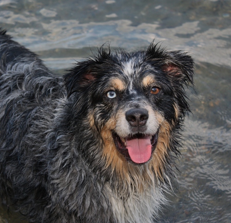 Entry image for Jack. Clicking this image will show a larger photo