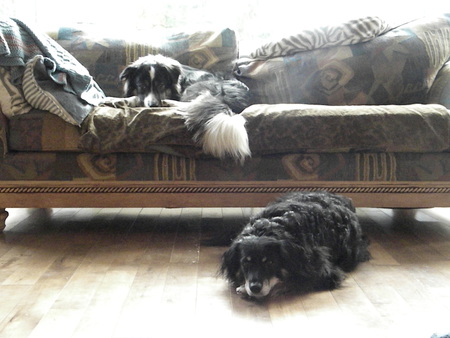 Entry image for Rebekka with Miki. Clicking this image will show a larger photo