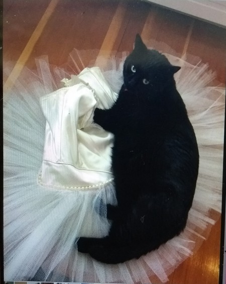 Entry image for Chihiro. Clicking this image will show a larger photo