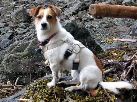 Entry image for Jayne Russell. Clicking this image will show a larger photo