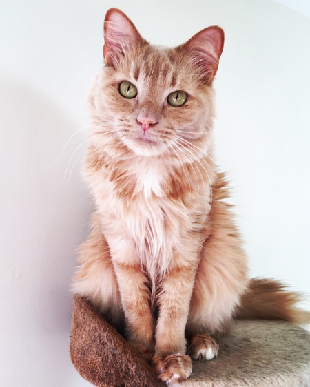 Entry image for Runtley. Clicking this image will show a larger photo