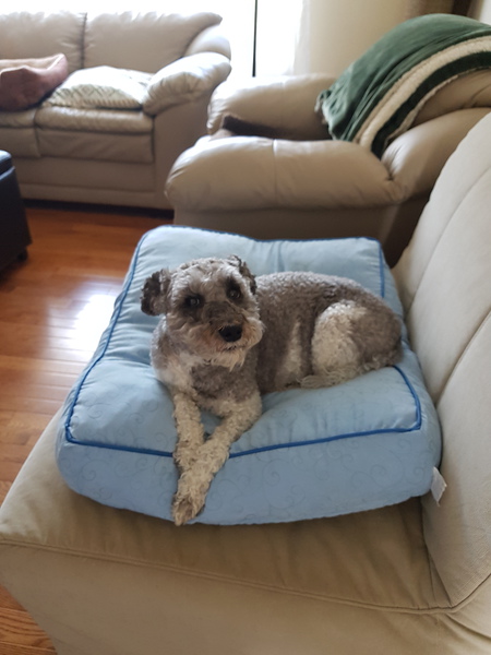 Entry image for Heidi. Clicking this image will show a larger photo